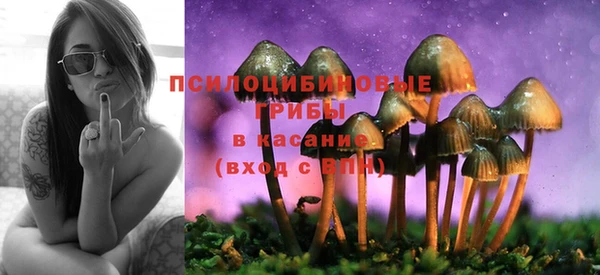 герыч Алзамай