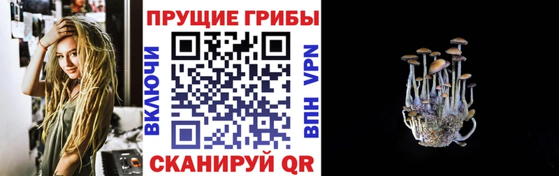 Псилоцибиновые грибы ЛСД  Богородск 